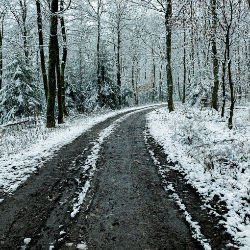 Lockdown und Winterblues