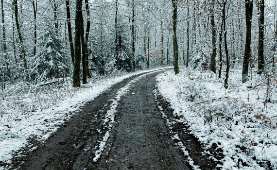 Lockdown und Winterblues